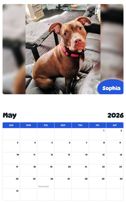 2026 - 2027 Sophia - Pawidols Pet Calendar