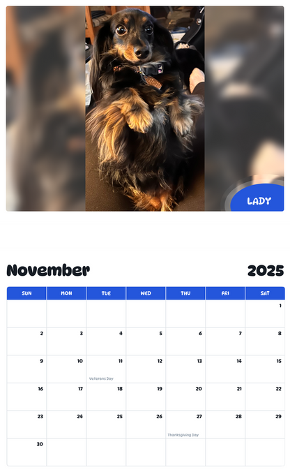July 2025 - June 2026 Lady - Pawidols Pet Calendar