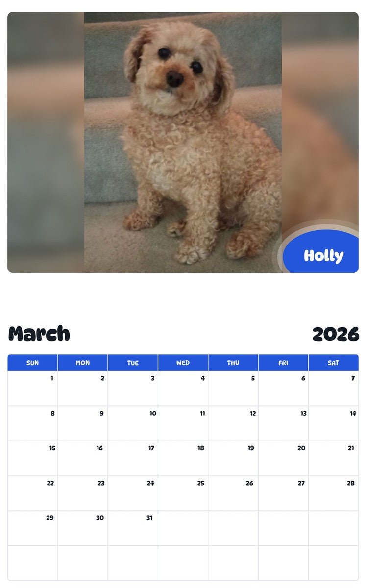 November 2025 - October 2026 Holly - Pawidols Pet Calendar