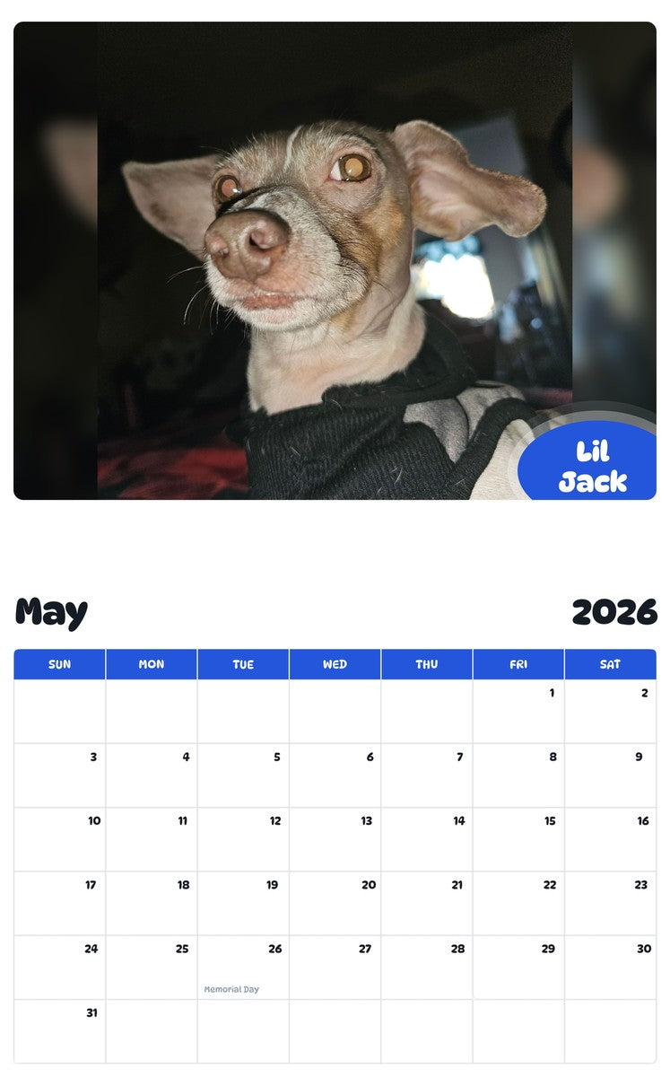 2026 - 2027 Lil Jack - Pawidols Pet Calendar