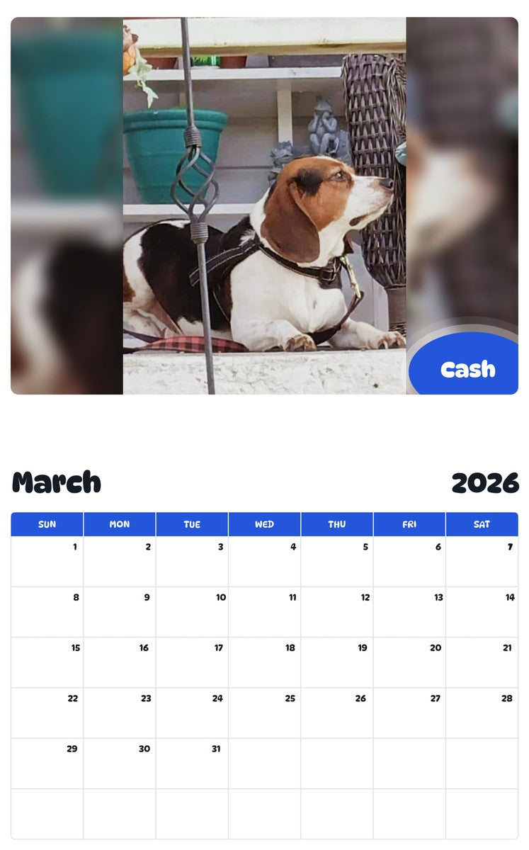 November 2025 - October 2026 Cash - Pawidols Pet Calendar