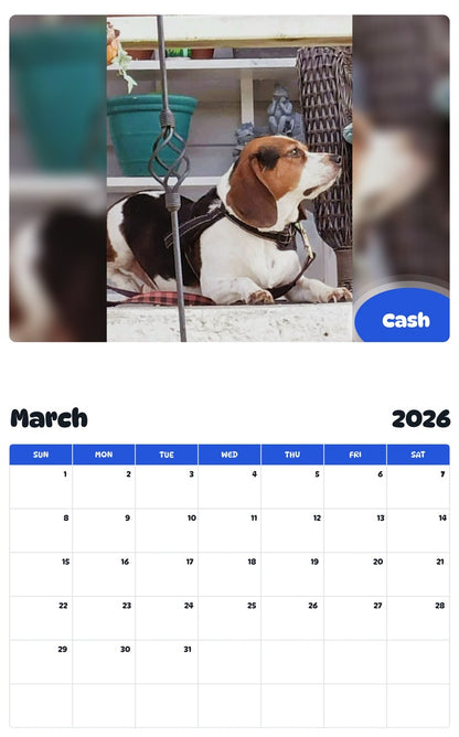 November 2025 - October 2026 Cash - Pawidols Pet Calendar