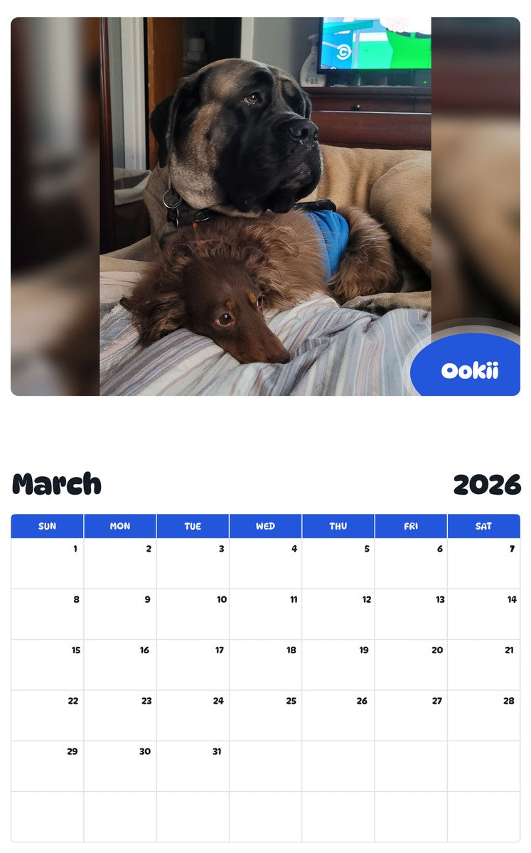 November 2025 - October 2026 Ookii - Pawidols Pet Calendar