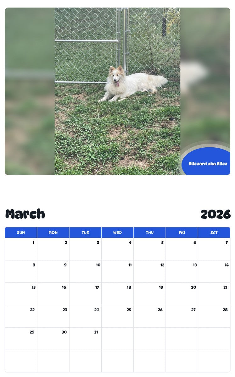 November 2025 - October 2026 Blizzard aka Blizz - Pawidols Pet Calendar