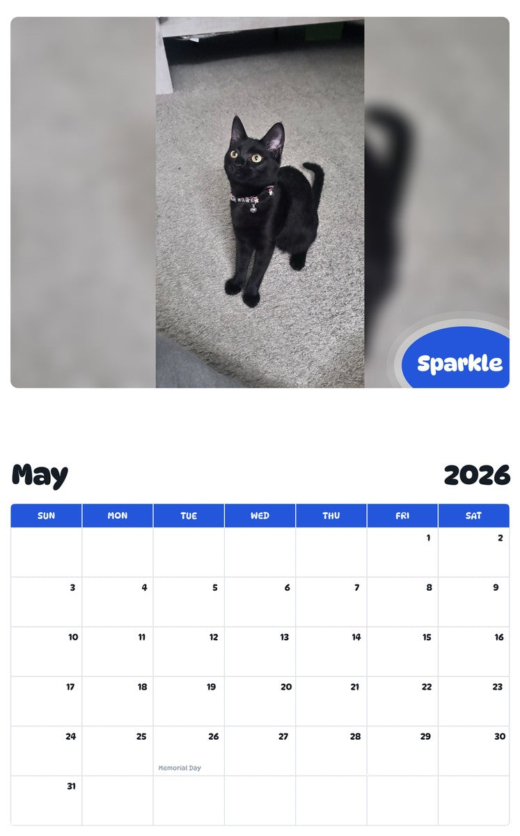 2026 - 2027 Sparkle - Pawidols Pet Calendar