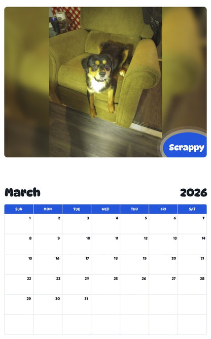 November 2025 - October 2026 Scrappy - Pawidols Pet Calendar