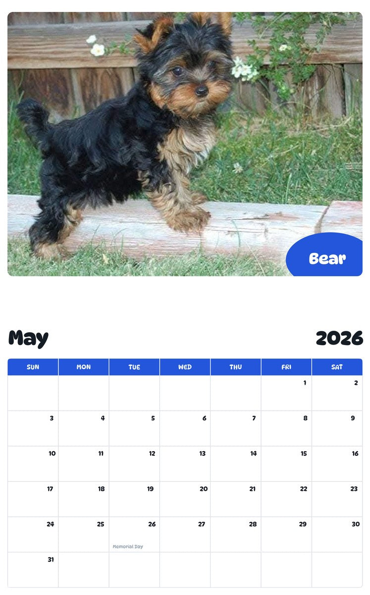 2026 - 2027 Bear - Pawidols Pet Calendar