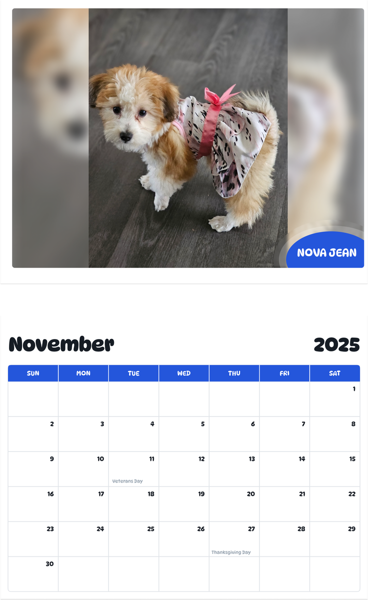July 2025 - June 2026 Nova Jean - Pawidols Pet Calendar