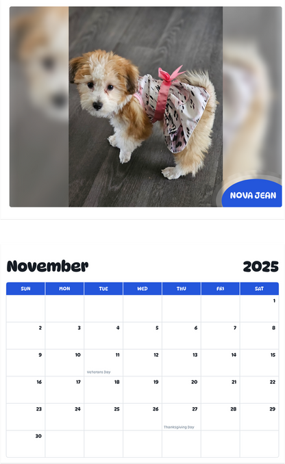 July 2025 - June 2026 Nova Jean - Pawidols Pet Calendar