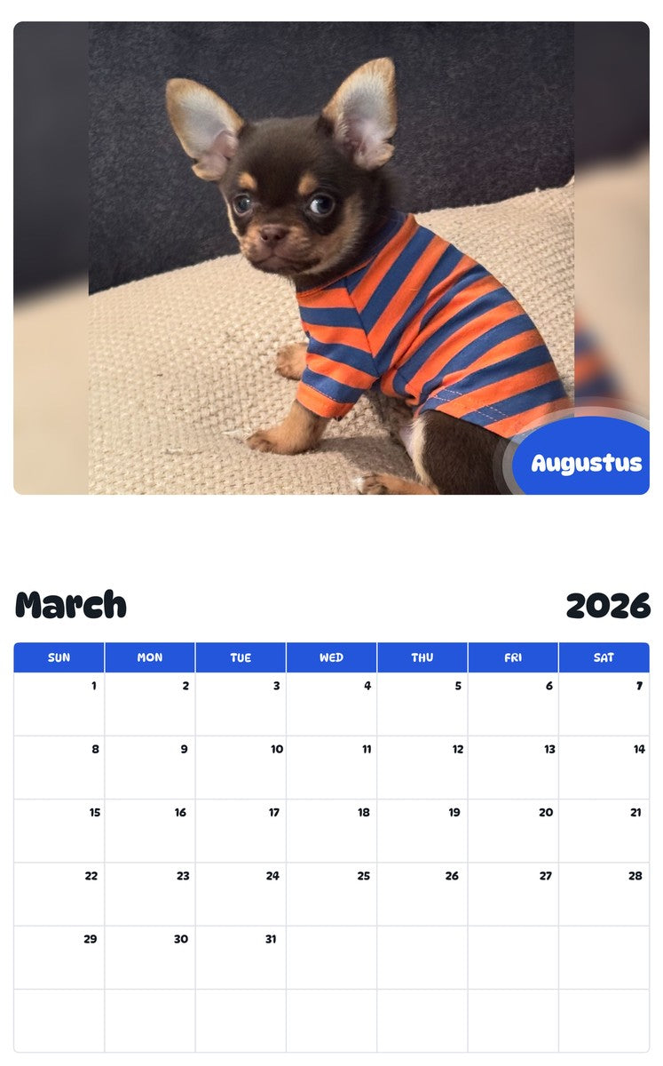 November 2025 - October 2026 Augustus - Pawidols Pet Calendar