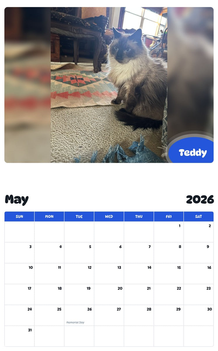 2026 - 2027 Teddy - Pawidols Pet Calendar