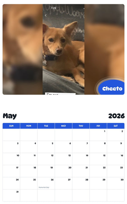 2026 - 2027 Cheeto - Pawidols Pet Calendar