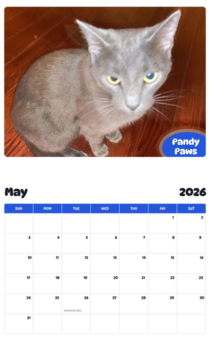 2026 - 2027 Pandy Paws - Pawidols Pet Calendar