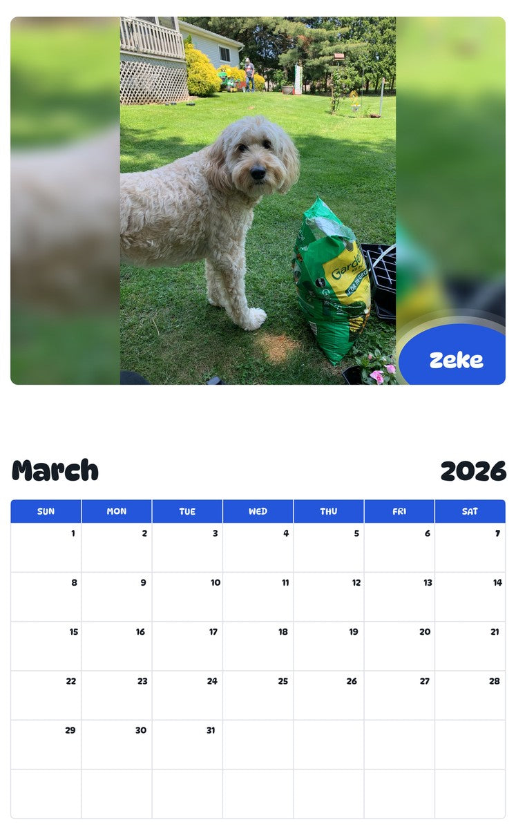 November 2025 - October 2026 Zeke - Pawidols Pet Calendar