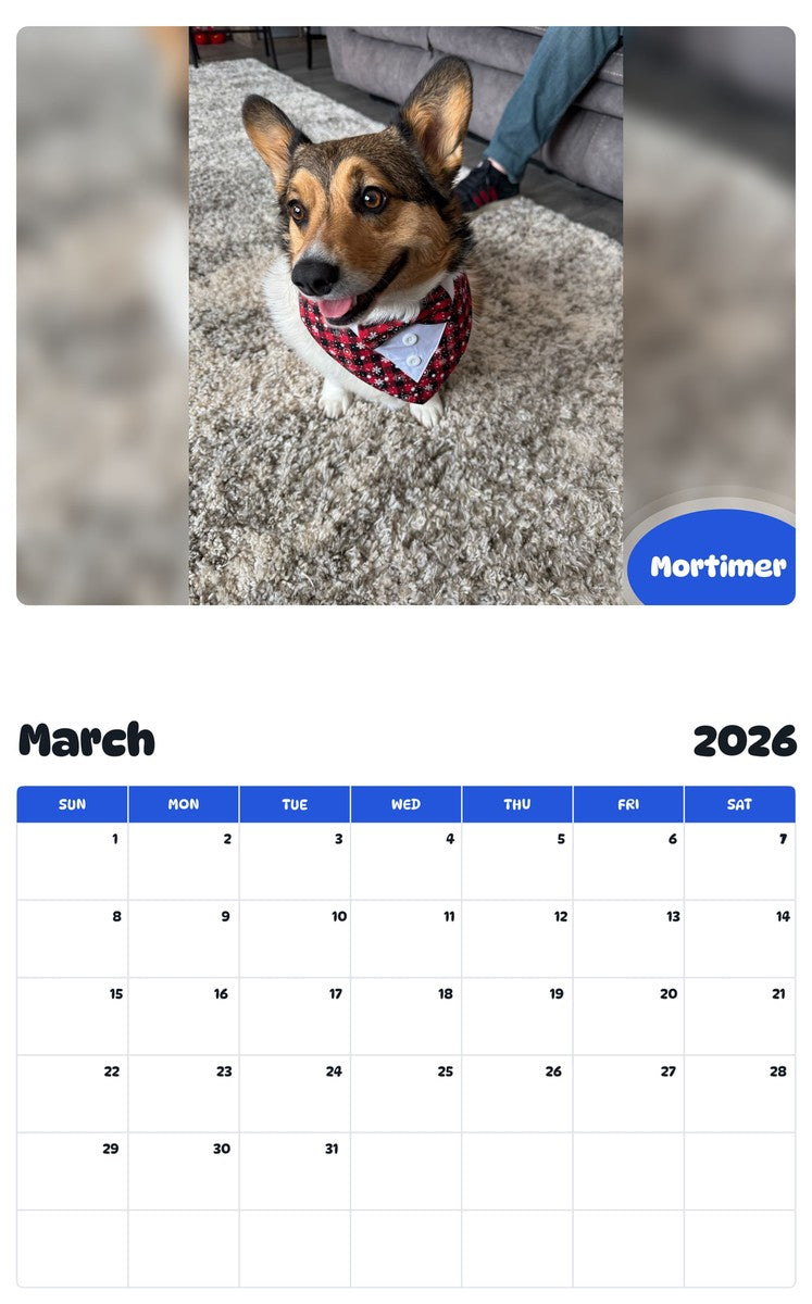 November 2025 - October 2026 Mortimer - Pawidols Pet Calendar