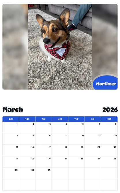 November 2025 - October 2026 Mortimer - Pawidols Pet Calendar