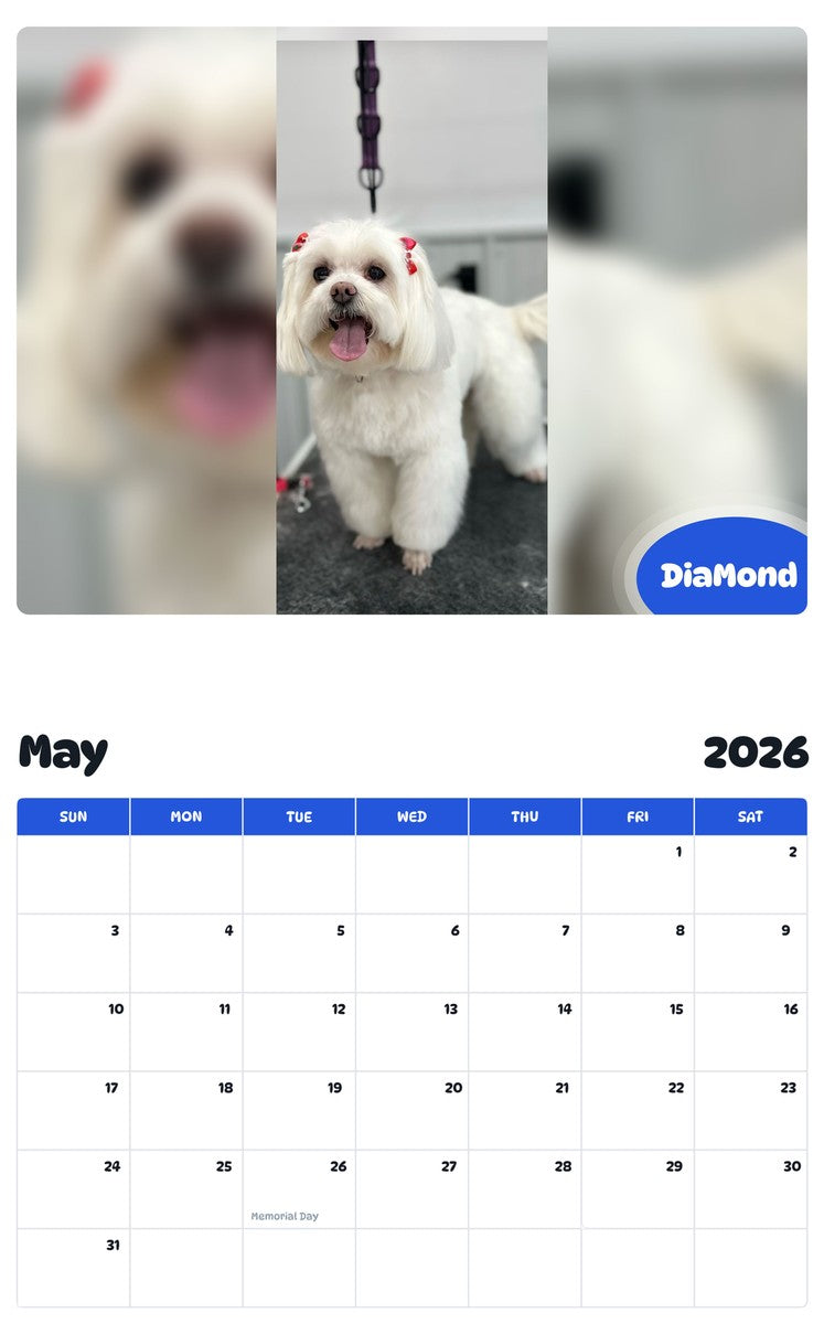 2026 - 2027 DiaMond - Pawidols Pet Calendar
