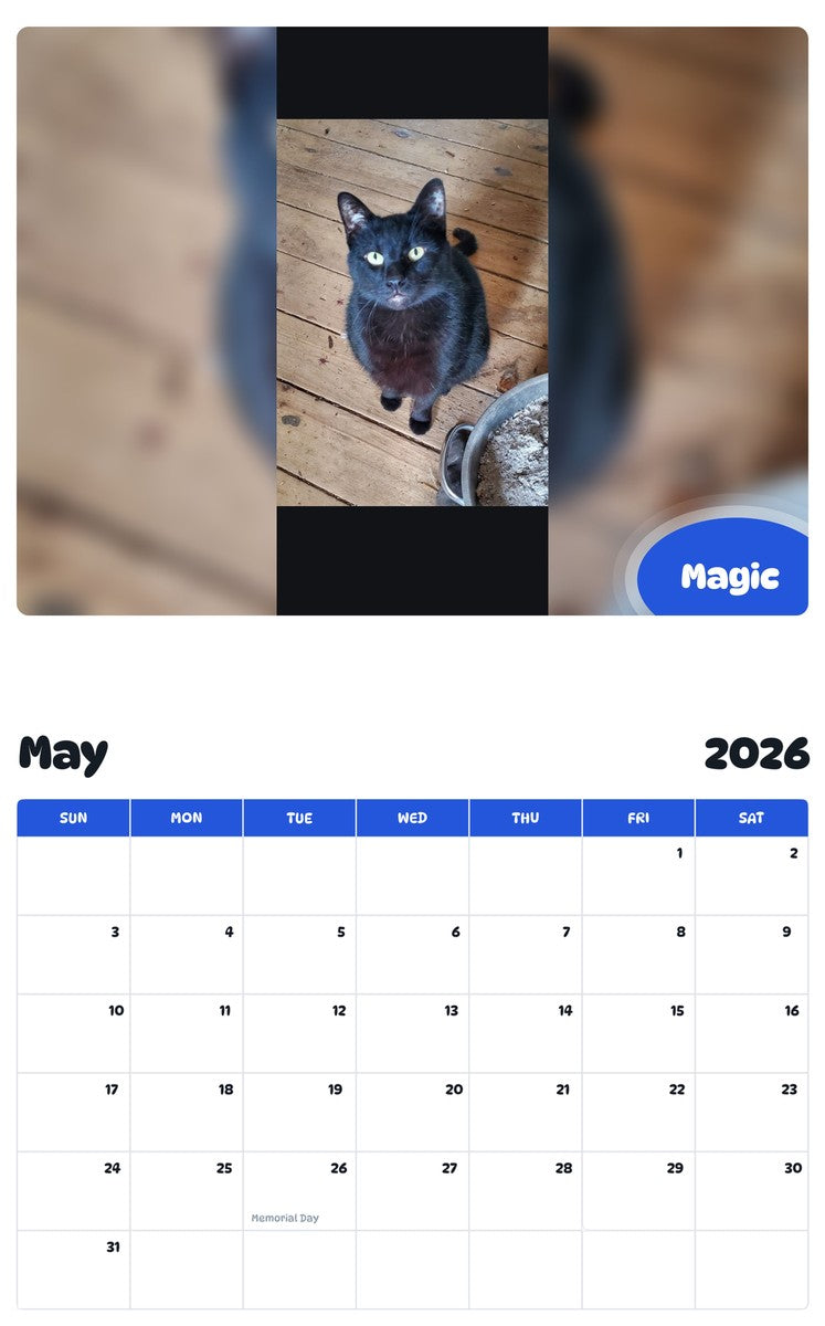 2026 - 2027 Magic - Pawidols Pet Calendar