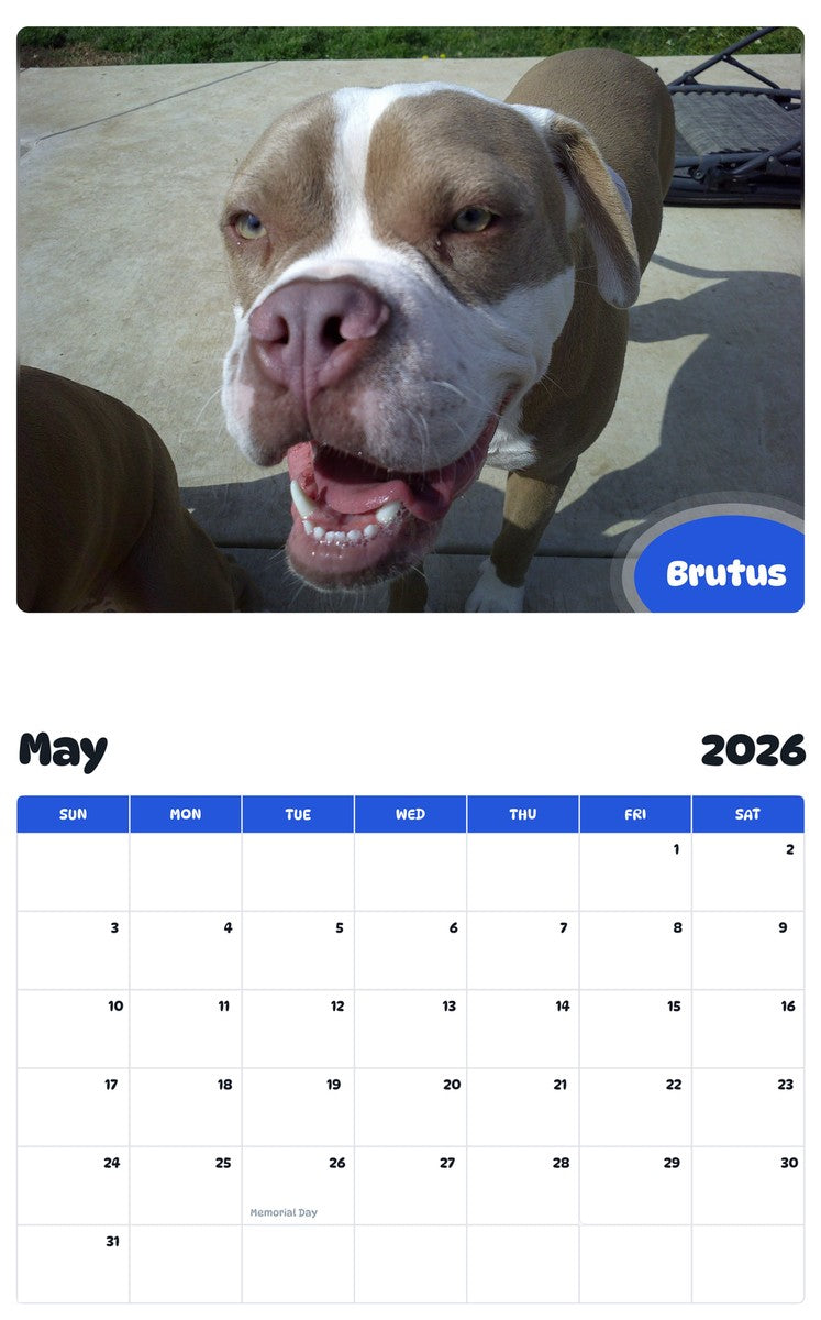 2026 - 2027 Brutus - Pawidols Pet Calendar