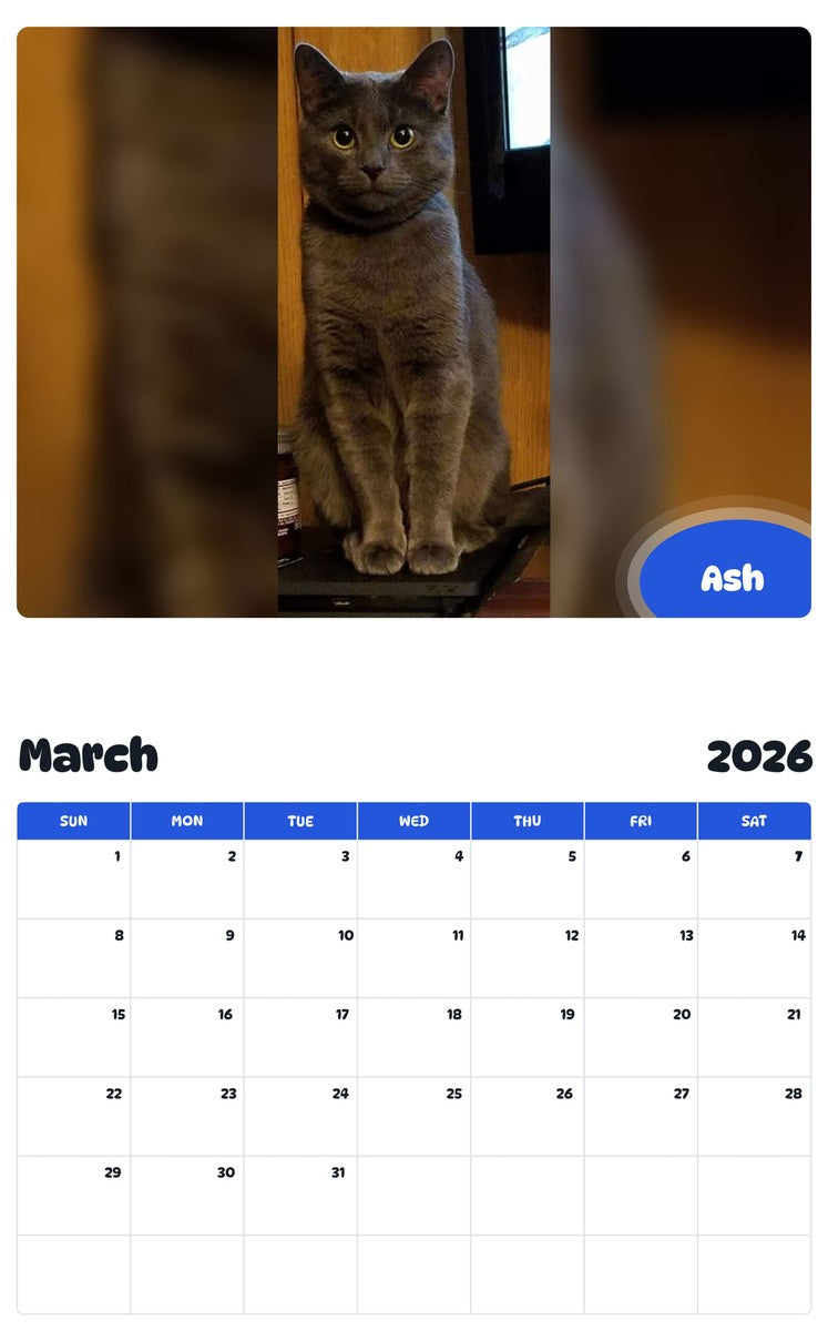 November 2025 - October 2026 Ash - Pawidols Pet Calendar