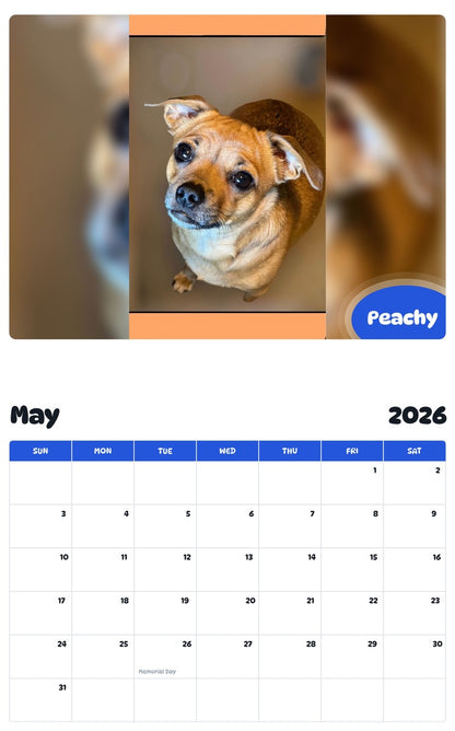 2026 - 2027 Peachy - Pawidols Pet Calendar