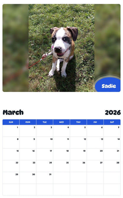 November 2025 - October 2026 Sadie - Pawidols Pet Calendar