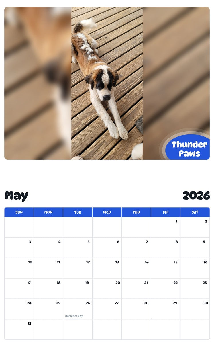 2026 - 2027 Thunder Paws - Pawidols Pet Calendar