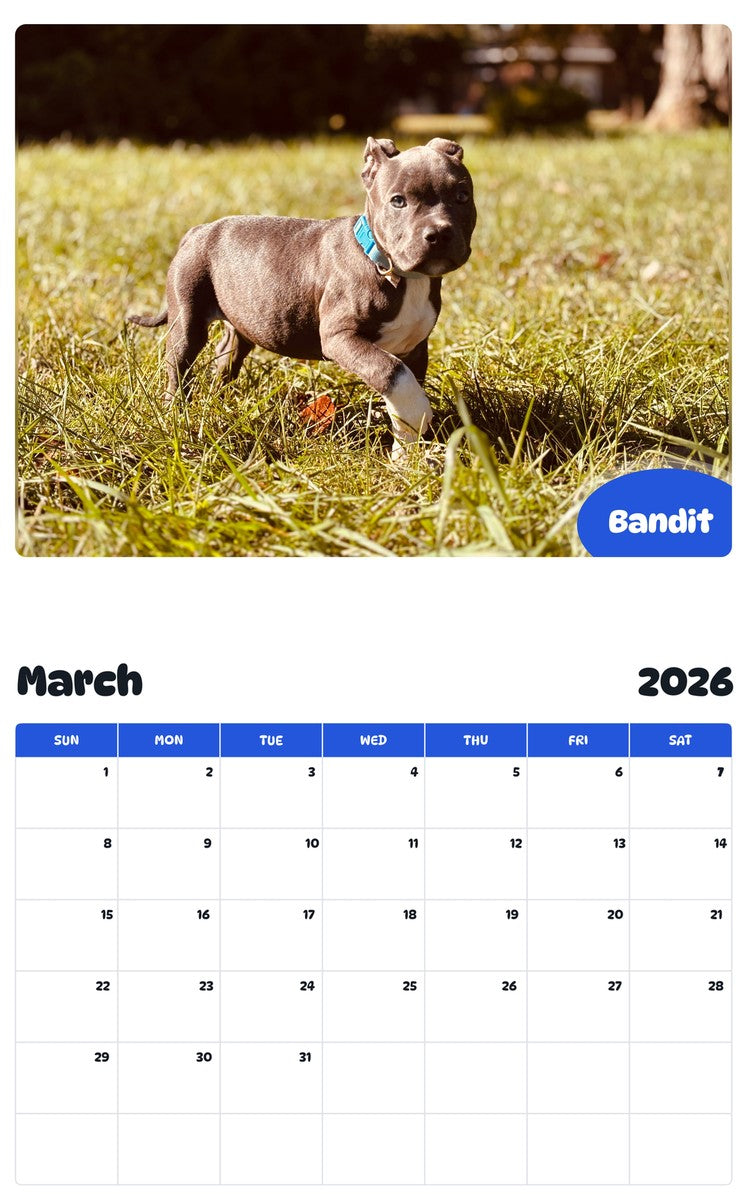 November 2025 - October 2026 Bandit - Pawidols Pet Calendar