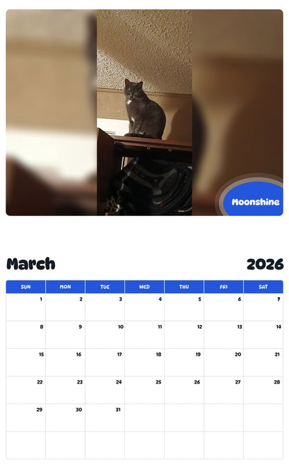 November 2025 - October 2026 Moonshine - Pawidols Pet Calendar