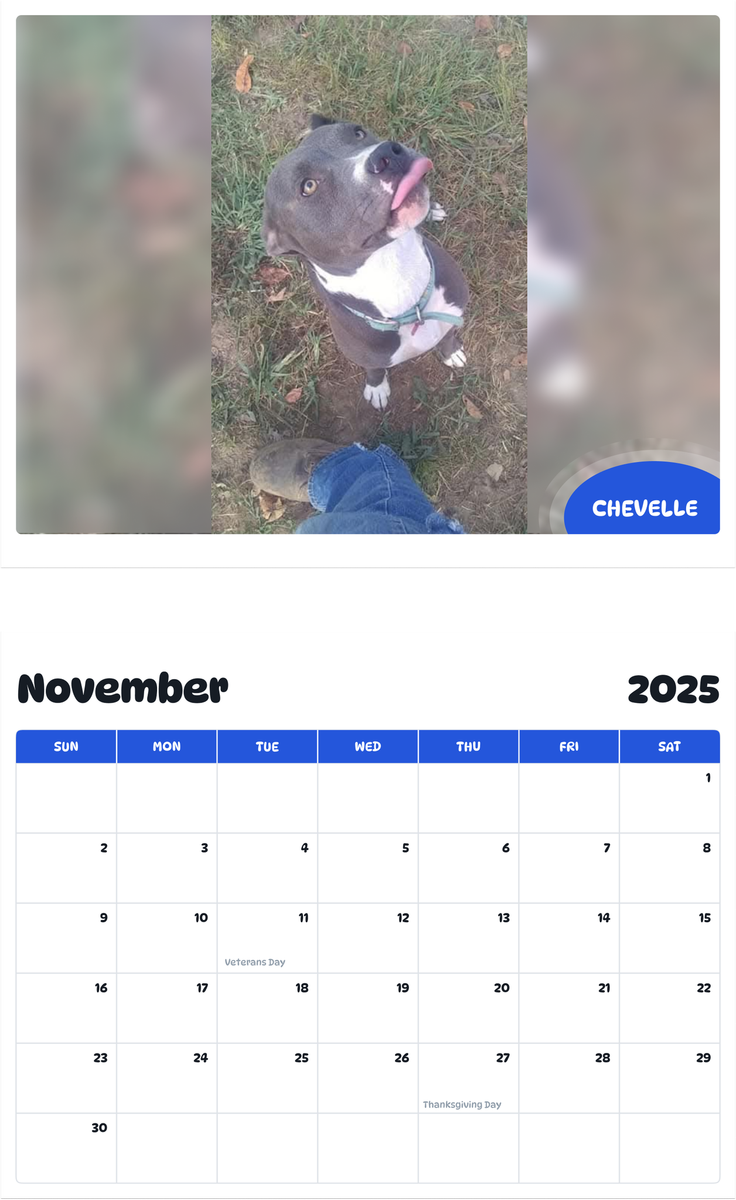 July 2025 - June 2026 Chevelle - Pawidols Pet Calendar