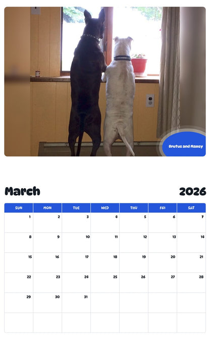 November 2025 - October 2026 Brutus and Maxey - Pawidols Pet Calendar