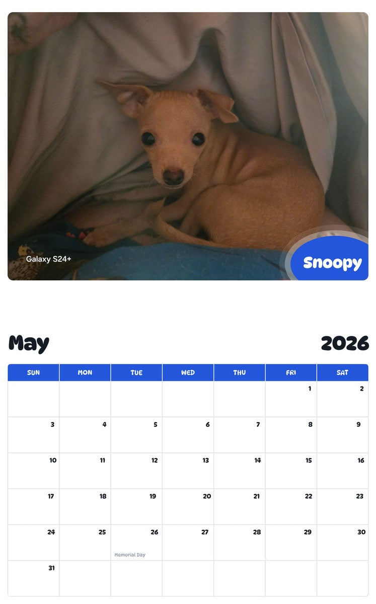 2026 - 2027 Snoopy - Pawidols Pet Calendar