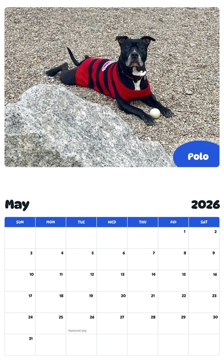 2026 - 2027 Polo - Pawidols Pet Calendar