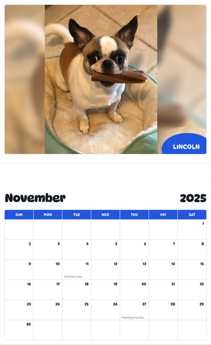 July 2025 - June 2026 Lincoln - Pawidols Pet Calendar