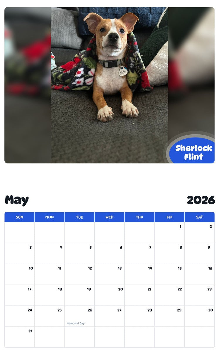 2026 - 2027 Sherlock Flint - Pawidols Pet Calendar