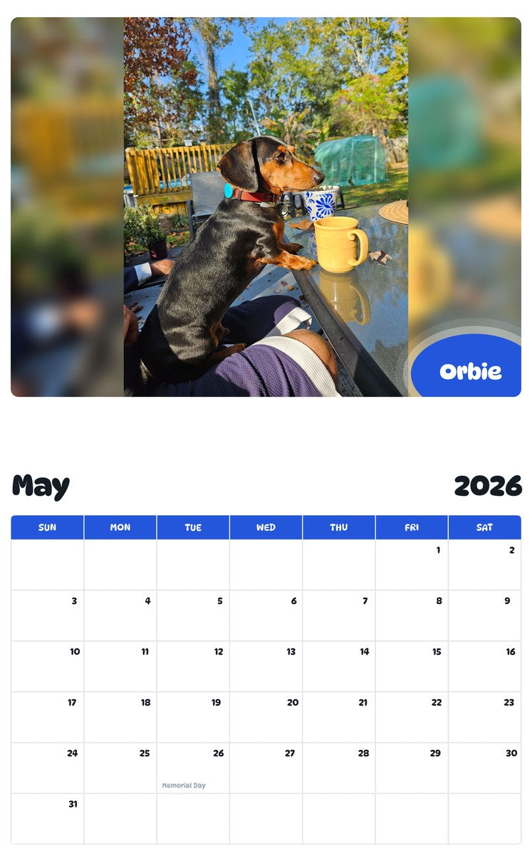 2026 - 2027 Orbie - Pawidols Pet Calendar