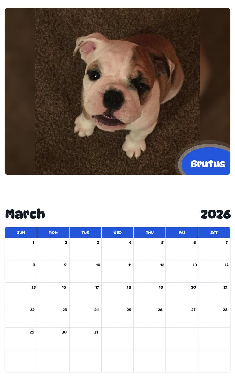 November 2025 - October 2026 Brutus - Pawidols Pet Calendar