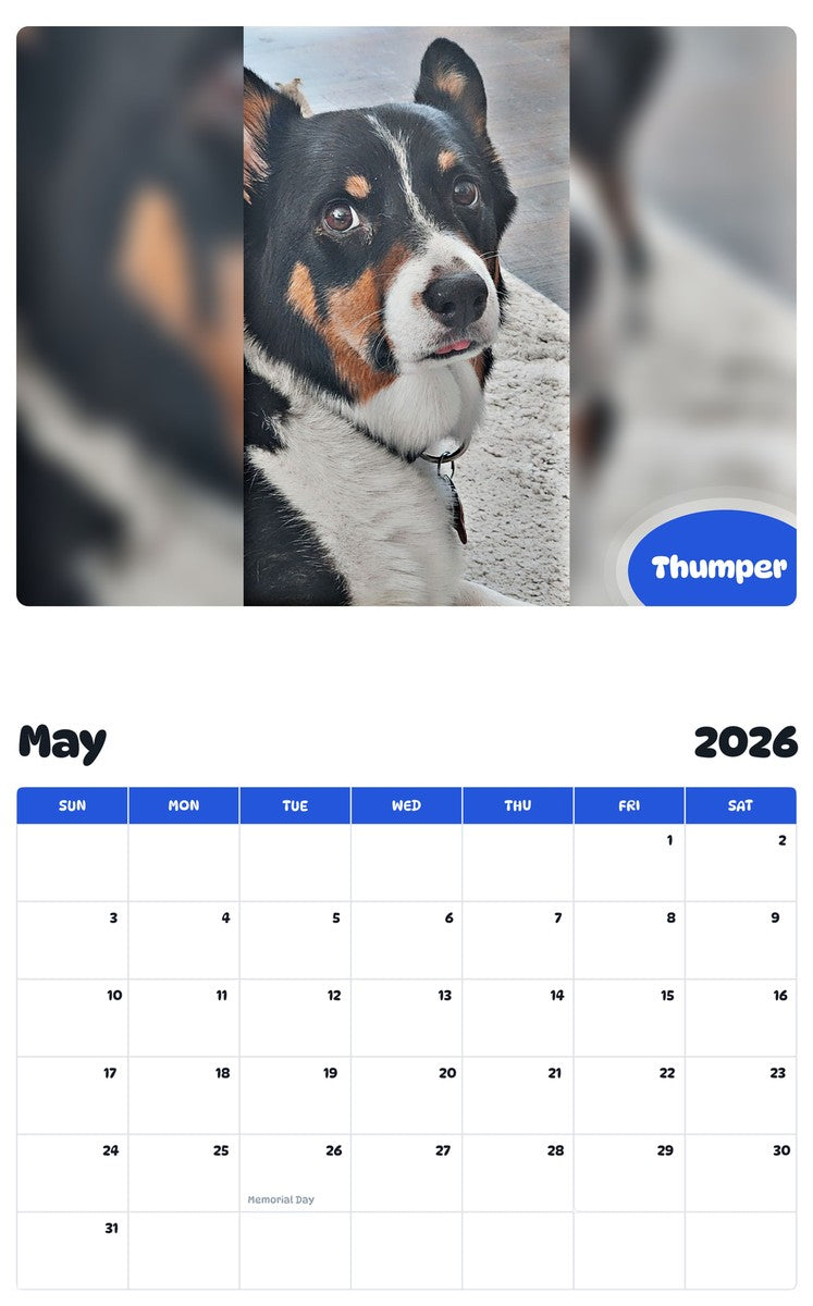 2026 - 2027 Thumper - Pawidols Pet Calendar