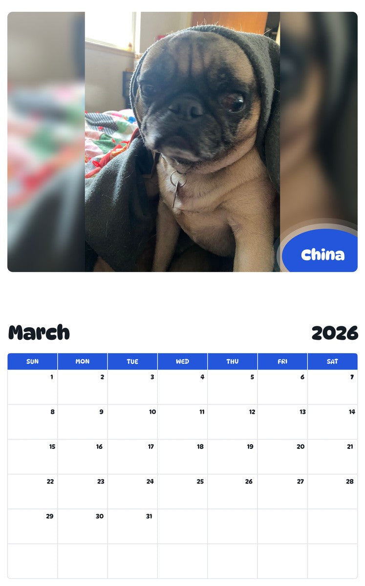 November 2025 - October 2026 China - Pawidols Pet Calendar