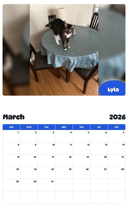 November 2025 - October 2026 Lyla - Pawidols Pet Calendar