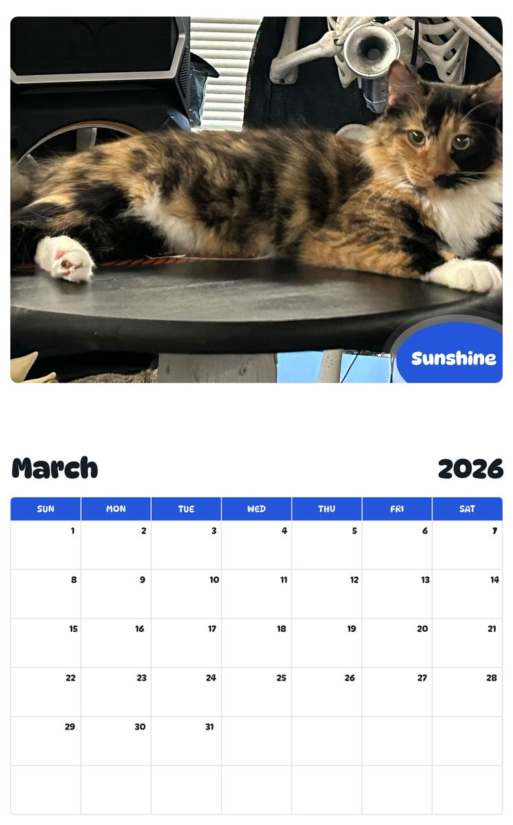 November 2025 - October 2026 Sunshine - Pawidols Pet Calendar
