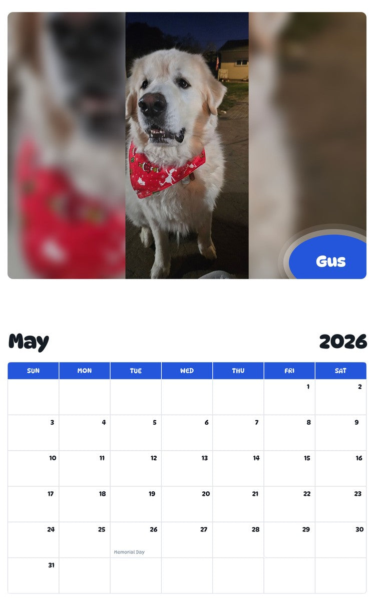 2026 - 2027 Gus - Pawidols Pet Calendar