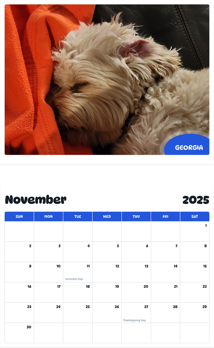July 2025 - June 2026 Georgia - Pawidols Pet Calendar