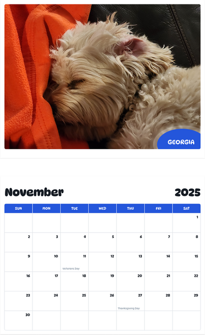 July 2025 - June 2026 Georgia - Pawidols Pet Calendar
