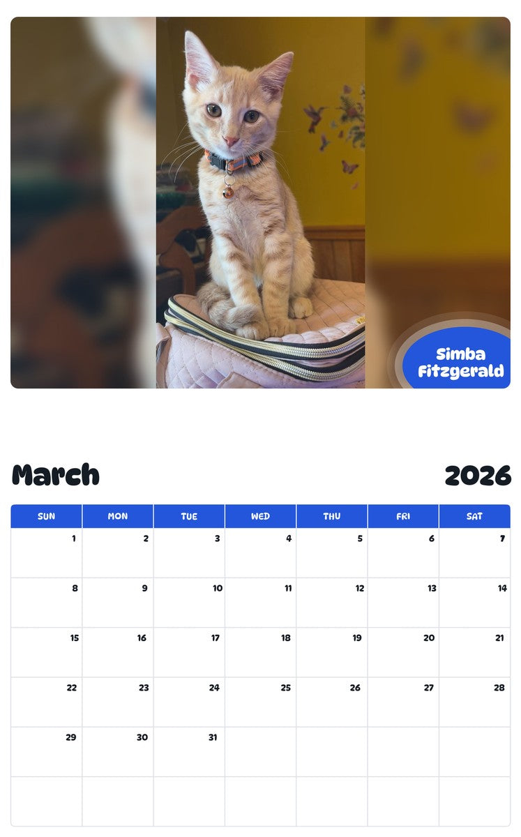 November 2025 - October 2026 Simba Fitzgerald - Pawidols Pet Calendar
