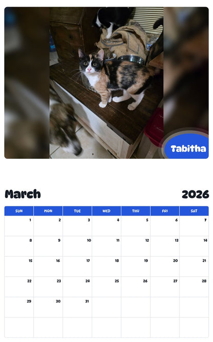 November 2025 - October 2026 Tabitha - Pawidols Pet Calendar