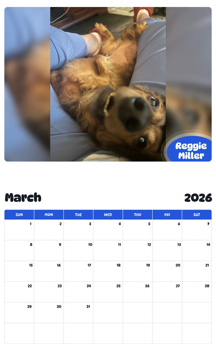 November 2025 - October 2026 Reggie Miller - Pawidols Pet Calendar