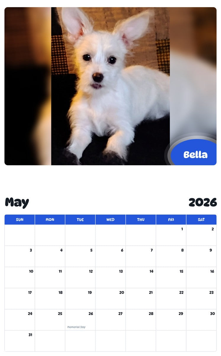 2026 - 2027 Bella - Pawidols Pet Calendar