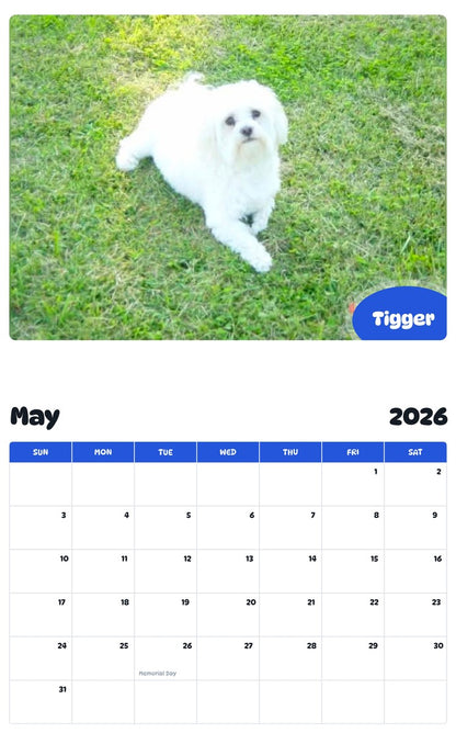 2026 - 2027 Tigger - Pawidols Pet Calendar