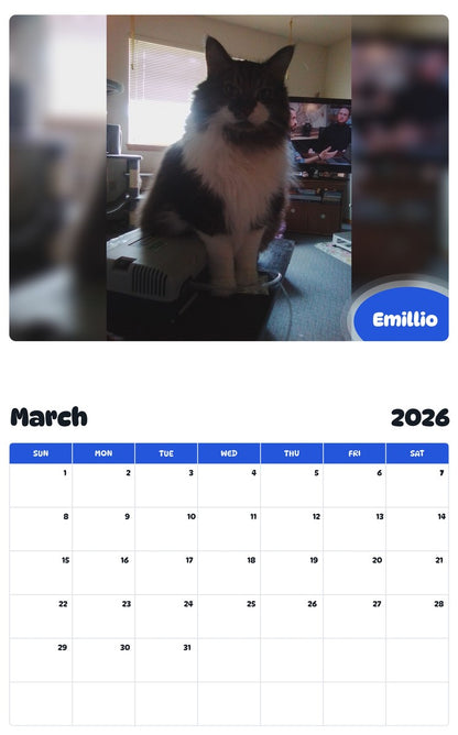 November 2025 - October 2026 Emillio - Pawidols Pet Calendar